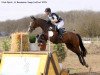 jumper Nick Quick (Hanoverian, 2005, from Now Or Never M)