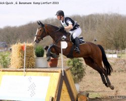 jumper Nick Quick (Hanoverian, 2005, from Now Or Never M)