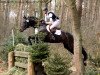 jumper Grafenwerth (Trakehner, 2004, from Grafenstolz)