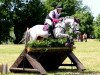 dressage horse Maddox 10 (German Riding Pony, 2003, from Marco Polo)