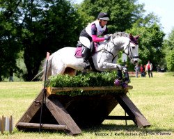 dressage horse Maddox 10 (German Riding Pony, 2003, from Marco Polo)