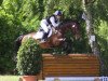 jumper Down to the Wire (Irish Sport Horse, 2007, from Touchdown)