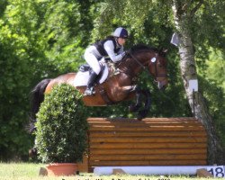 jumper Down to the Wire (Irish Sport Horse, 2007, from Touchdown)