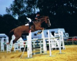 broodmare Caline de Rouhet (Selle Français, 1990, from Melkior du Montois)