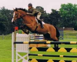 broodmare Galinska de Rouhet (Selle Français, 1994, from Jalisco B)