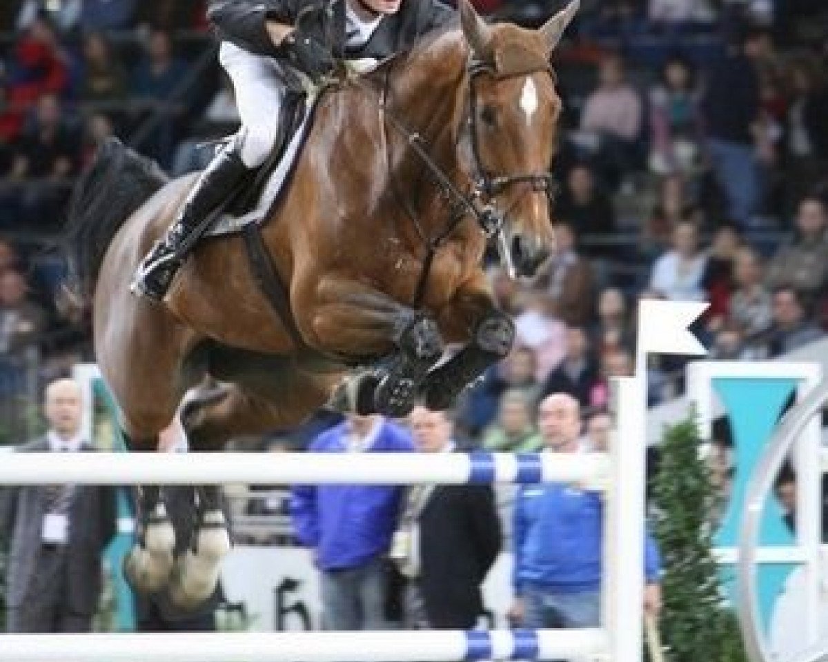 Springpferd Upsilon d' Ocquier (Belgisches Warmblut, 1997, von Landetto)