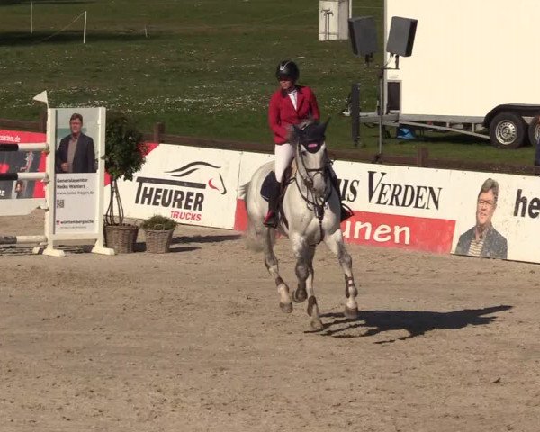 FEI Reitturnier Westergellersen (GER) 2022