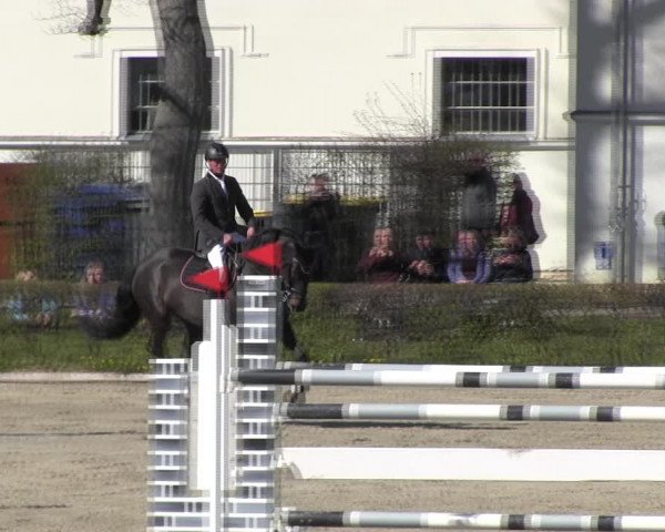 Reitturnier Neustadt/Dosse 2022