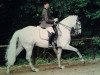 dressage horse Make Me Smile 2 (New Forest Pony, 2001, from Frisian Forest Marco Polo)