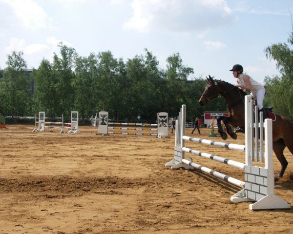 broodmare Rachel (Zweibrücken, 1995, from Ragtime)