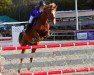 dressage horse Tirano de La Chaise (Selle Français, 2007, from Champi)