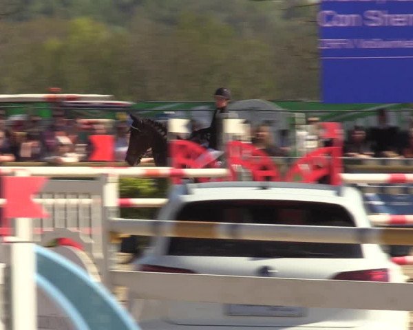 Lenklarer Reitertage 2022 (Werne)