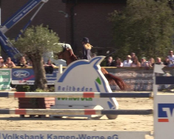 Lenklarer Reitertage 2022 (Werne)