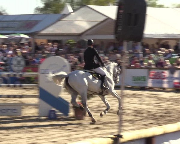 Lenklarer Reitertage 2022 (Werne)