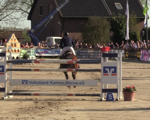 Lenklarer Reitertage 2022 (Werne)