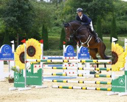 jumper Unastella M (Austrian Warmblood, 2016, from Alfy)