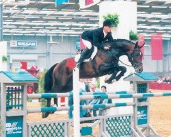 stallion Ircolando (KWPN (Royal Dutch Sporthorse), 1990, from Casimir)