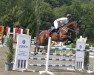 jumper Seppi SN (Hanoverian, 2006, from Satisfaction FRH)