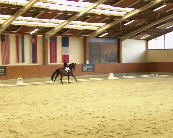 Reitturnier Weikersdorf am Steinfelde 2022