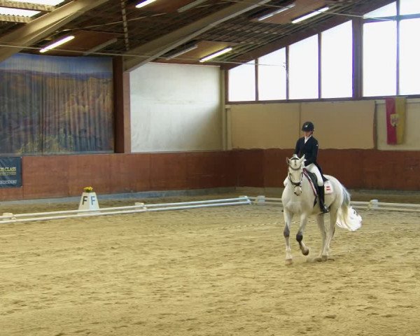 Reitturnier Weikersdorf am Steinfelde 2022