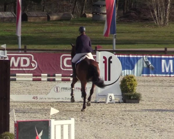Reitturnier Westergellersen 2022