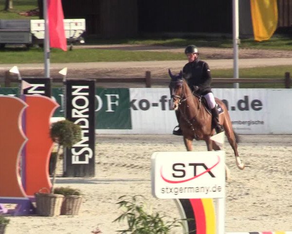 Reitturnier Westergellersen 2022