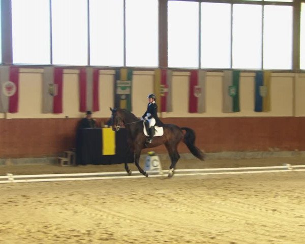Reitturnier Weikersdorf am Steinfelde 2022