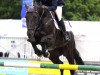 jumper Full of Hope 3 (Hanoverian, 2006, from Stakkato)