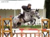 Springpferd Barichello (KWPN (Niederländisches Warmblut), 2006, von Winningmood van de Arenberg)