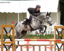 jumper Barichello (KWPN (Royal Dutch Sporthorse), 2006, from Winningmood van de Arenberg)