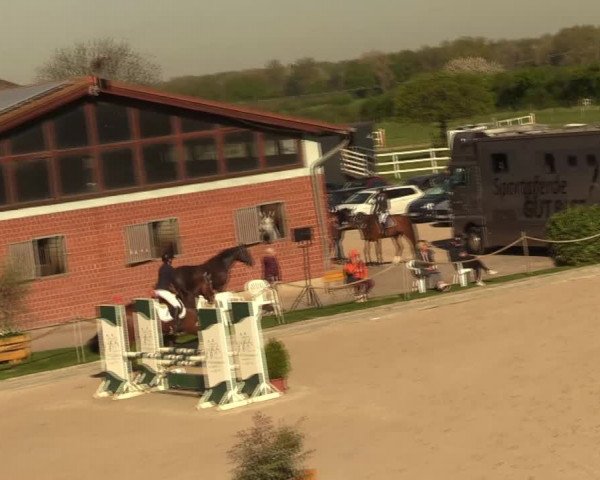 Reitturnier Monheim - Gut Blee 2022