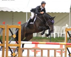 jumper Big Balou 4 (Oldenburg show jumper, 2006, from Balou du Rouet)