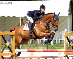 Springpferd Gertje Vh Scheefkasteel (Belgisches Warmblut, 2006, von Moujik de Sohan)