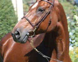 broodmare Voltige du Pas (Selle Français, 1987, from Alme)