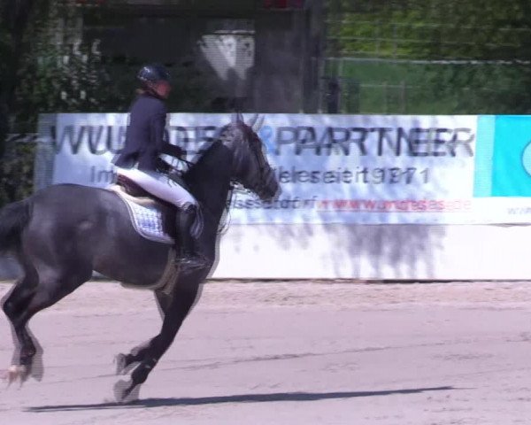 Reitturnier Monheim - Gut Blee 2022