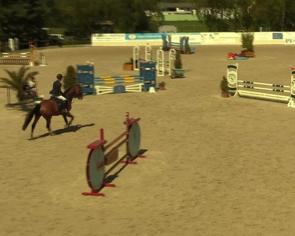 Reitturnier Monheim - Gut Blee 2022