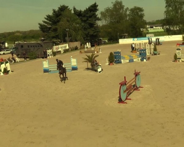 Reitturnier Monheim - Gut Blee 2022