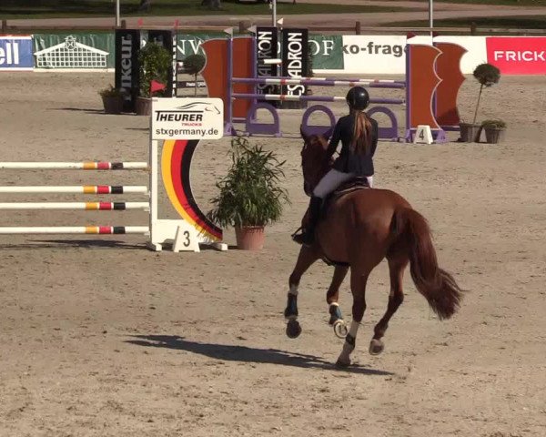 Reitturnier Westergellersen 2022