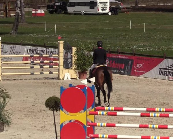 Reitturnier Westergellersen 2022