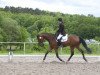 dressage horse Silas (Oldenburg, 2009, from Sorento OLD)