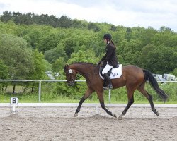 dressage horse Silas (Oldenburg, 2009, from Sorento OLD)