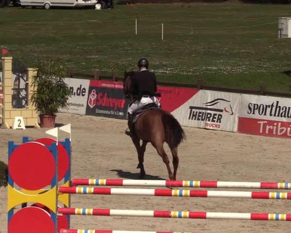Reitturnier Westergellersen 2022