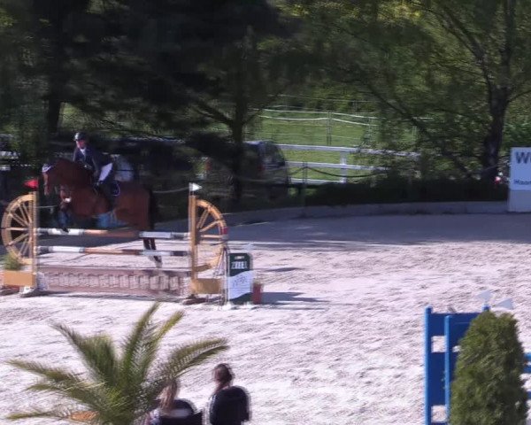 Reitturnier Monheim - Gut Blee 2022