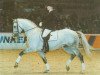 stallion Rhytmus S (Westphalian, 1989, from Rheingold)