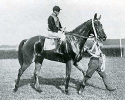 broodmare Iniga Isolani xx (Thoroughbred, 1934, from Graf Isolani xx)