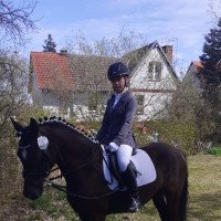 broodmare Noblesse II 2 (German Riding Pony, 2007, from Nobelboy)