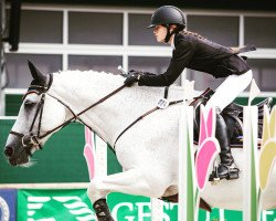 horse Vasco S (KWPN (Royal Dutch Sporthorse), 2002, from Dillenburg)