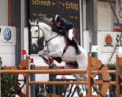 jumper DSP Kokolores (German Sport Horse, 2003, from Kolibri 2705)