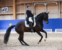 dressage horse Pippi Lotta 36 (Bavarian, 2012, from Chequille)