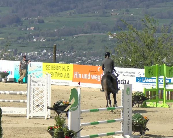 Reitturnier Wädenswil 2022